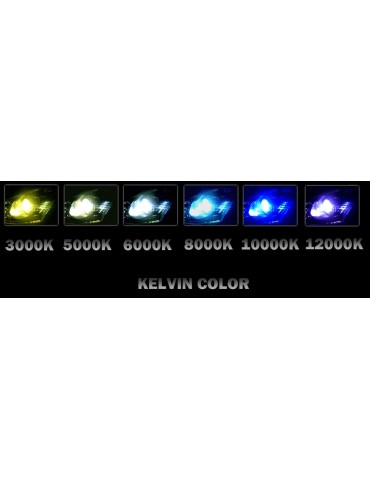 Kit xénon slim Benelli 491 ST 2001 - 2006