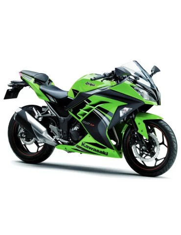 R 300 Ninja 2013 - 2015