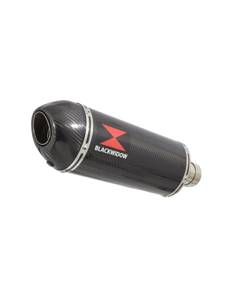 GSX-S 1000 & GT 2021-2023  Silencieux Ovale En Carbone 300mm