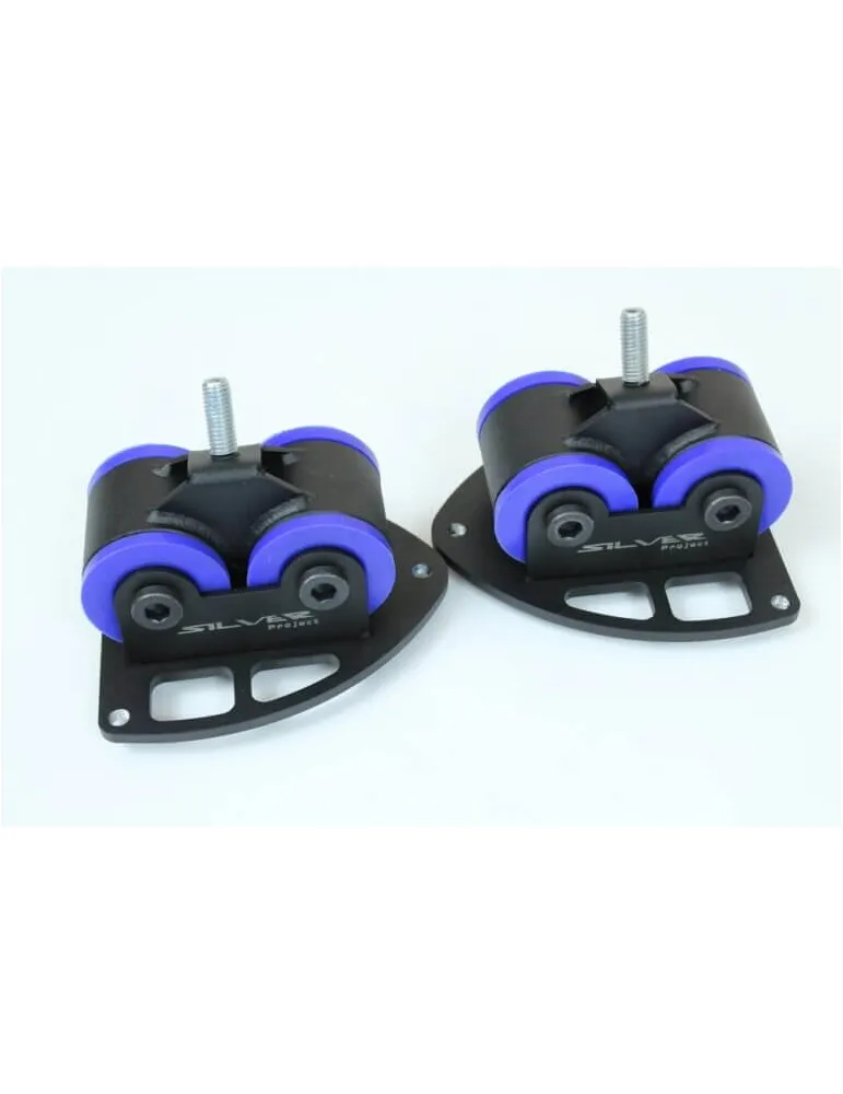 Supports de moteur solides BMW F20,F21,F22,F23,F30