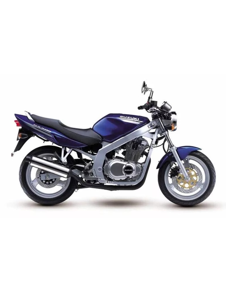 Suzuki gs500 2009