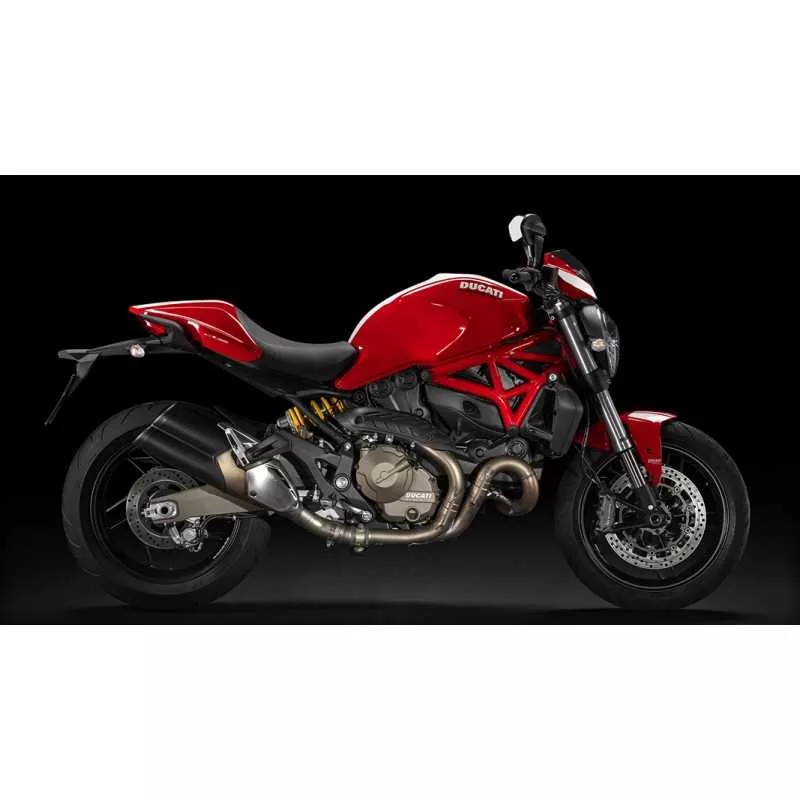 MONSTER 821 2014 - 201x MONSTER 821 2014 - 201x
