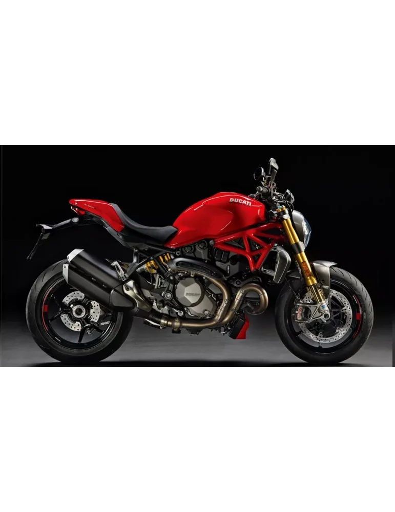 Leviers réglables Monster 1200 R / S 2014 - 2016