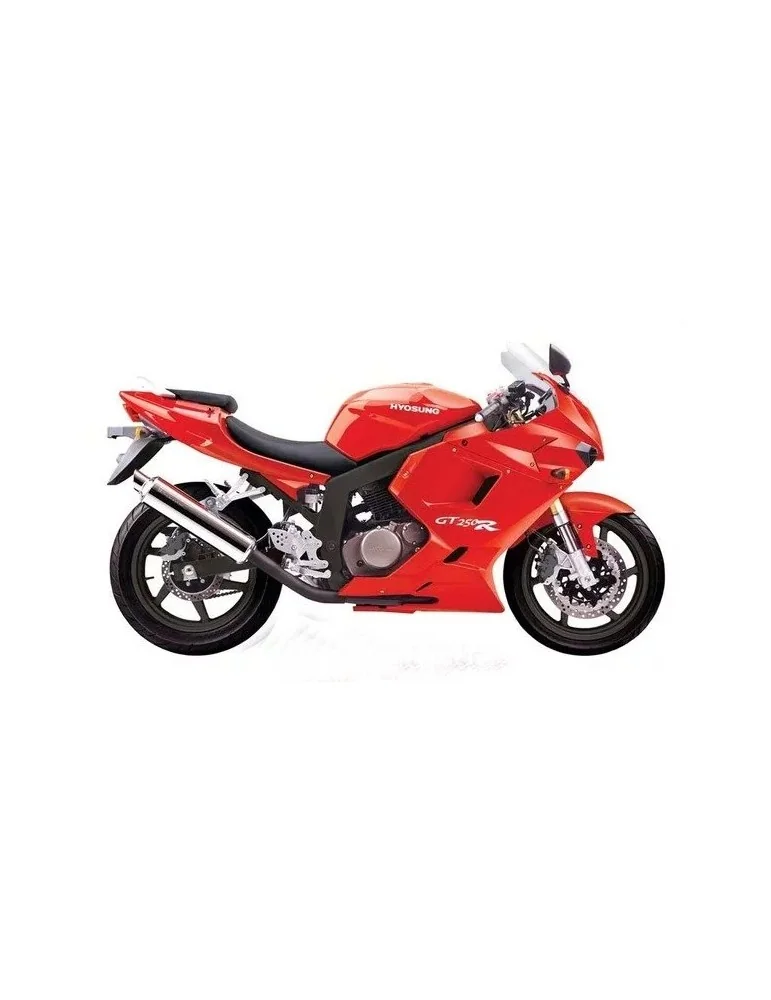 Leviers réglables GTR 250 2006 - 2010