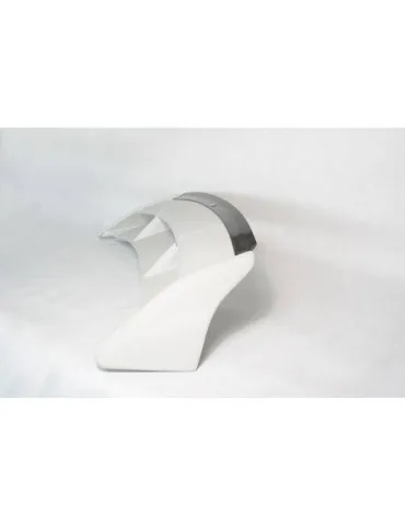 Extension Becquet / Aileron FORD FOCUS RS MK2 - Maxton