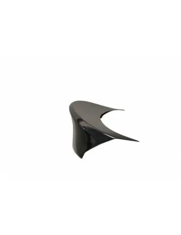 Becquet / Aileron RAJOUT DU Capot BMW 5 F10 M5  pour peindre - Maxton