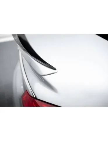 Extension Becquet / Aileron OPEL Insignia OPC-Line MK1 - Maxton