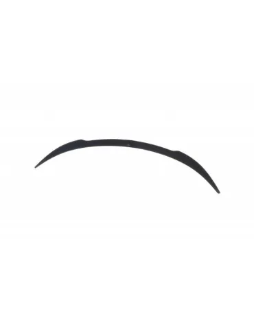 Becquet / Aileron Extension Tesla Model 3 - Maxton