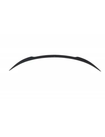 Becquet / Aileron Extension Tesla Model 3 - Maxton