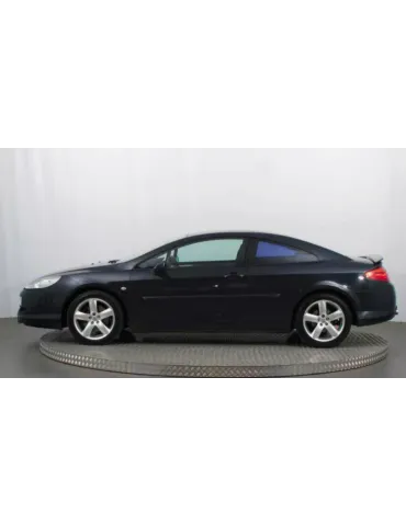 Aileron / Becquet / Spoiler Peugeot 407 2004 - 2011 