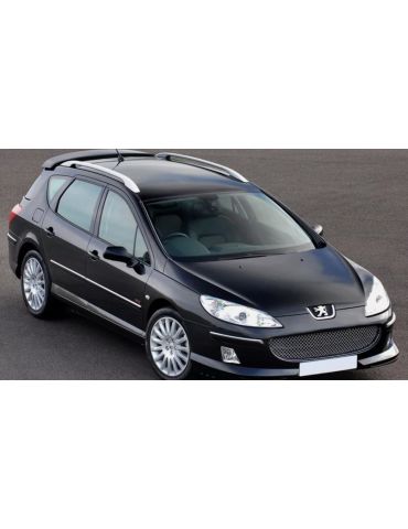 Aileron / Becquet / Spoiler Peugeot 407 SW 2004 - 2011 