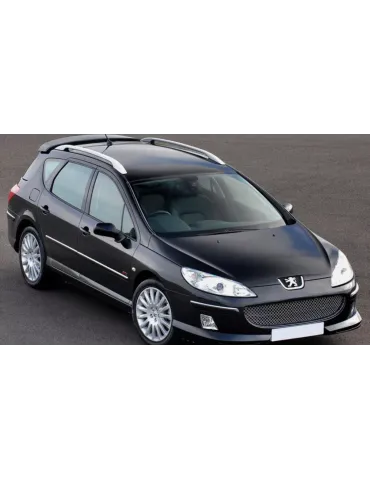 Aileron / Becquet / Spoiler Peugeot 407 SW 2004 - 2011 