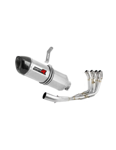 Ligne Collecteur/Catalyseur sport/Silencieux Dominator    : S1000RR 2017 - 2018