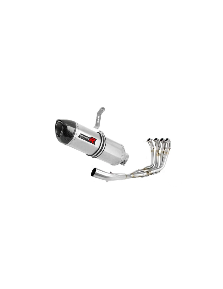 Ligne Collecteur/Catalyseur sport/Silencieux Dominator    : S1000RR 2017 - 2018