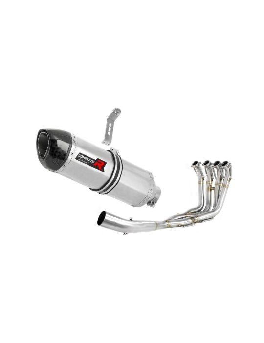 Ligne Collecteur/Catalyseur sport/Silencieux Dominator: S1000RR 2017 - 2018
