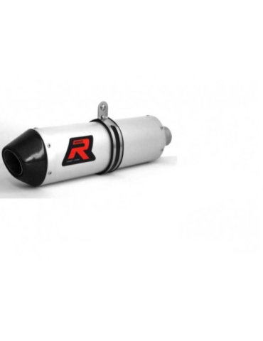 Silencieux sport Dominator : LTR 450 