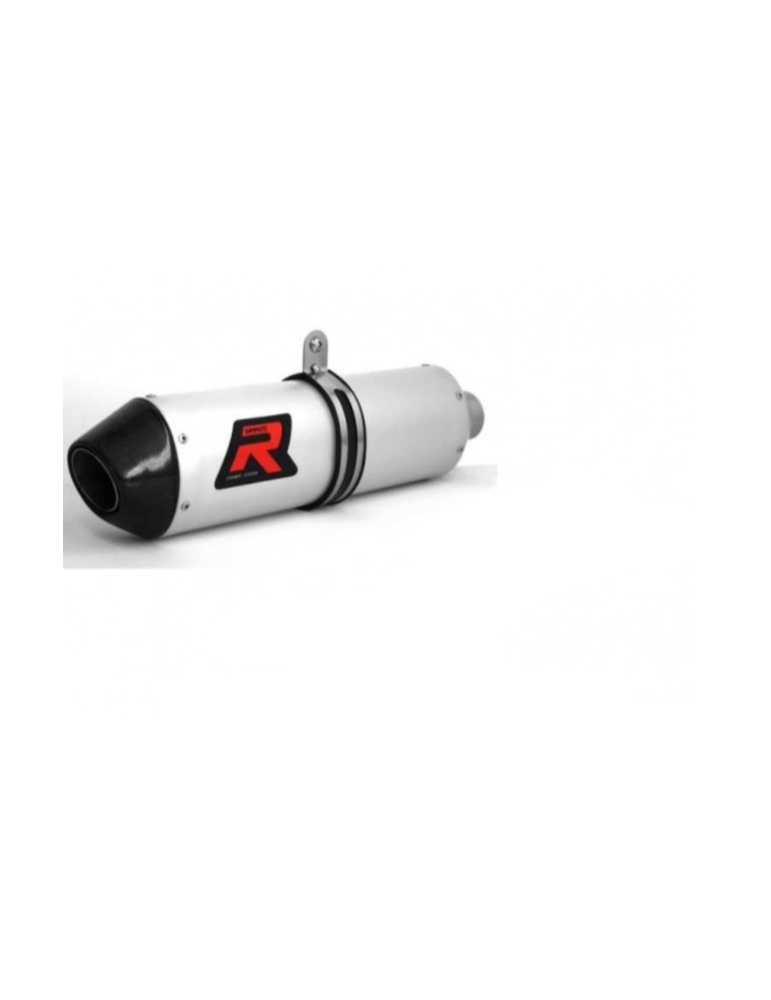 Silencieux sport Dominator : LTR 450 