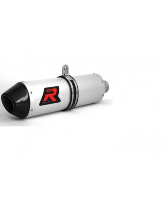 Silencieux sport Dominator : LTR 450 