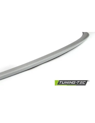 Becquet de coffre pour BMW F10 10-16
