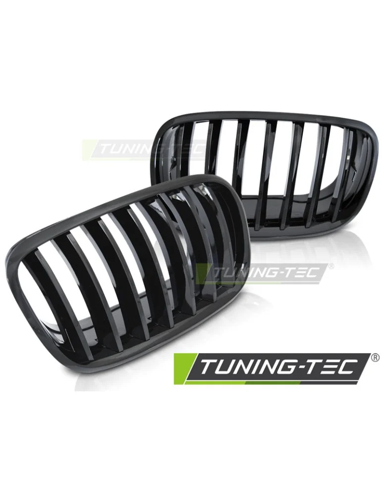 Calandre noire pour BMW X5 E70 X6 E71 08