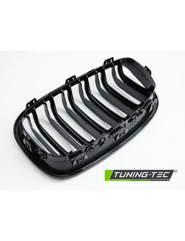 Calandre noire pour BMW F20 F21 11-14