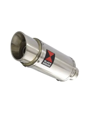 Silencieux avec suppression de catalyseur inox pour BMW F900 R 2020-2023