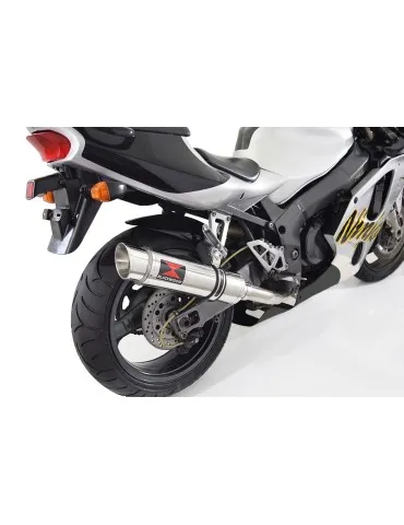 Silencieux avec suppression de catalyseur inox pour BMW F900 R 2020-2023
