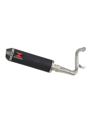 Silencieux avec suppression de catalyseur inox pour BMW F900 XR 2020-2023