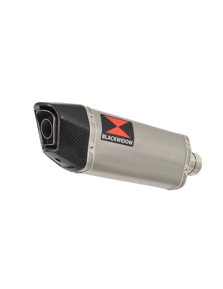 Silencieux avec suppression de catalyseur inox pour Husqvarna Svartpilen 125 2021-2023