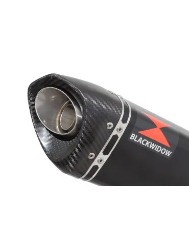 Silencieux sport pour Lexmoto LXR125 2018 - 2024