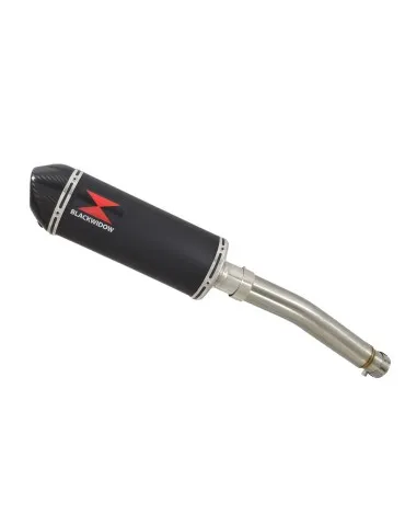 Ensemble silencieux et tube de liaison inox pour Peugeot PM-01 125 2023, 2024