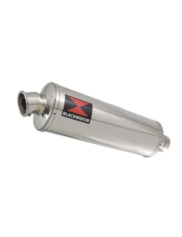 Silencieux sport pour Himalayan 411