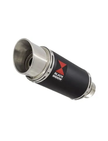 Silencieux sport pour Himalayan 411