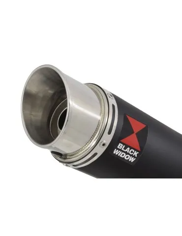 Silencieux sport pour Himalayan 411