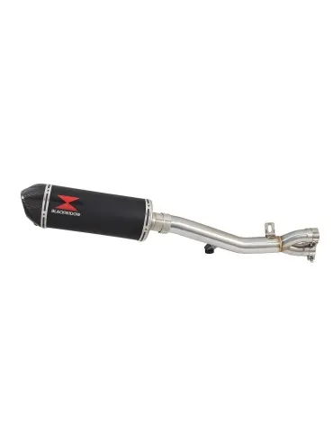 Silencieux sport pour Himalayan 411