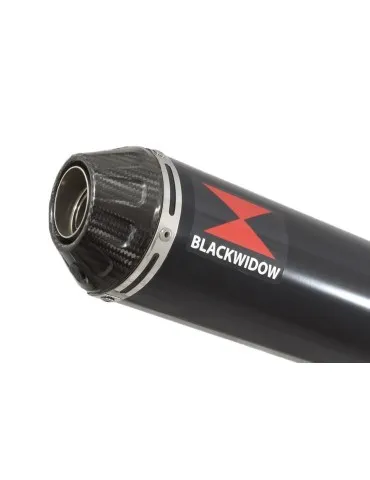 Ligne d'échappement complète pour DL650 V-Strom 2017 - 2024