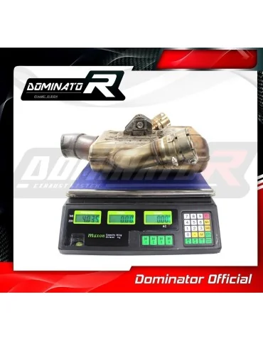 Décatalyseur inox Dominator pour Kawasaki Z1000 2014-2016
