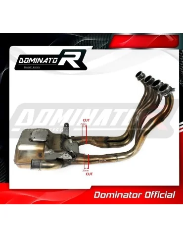 Décatalyseur inox Dominator pour Honda CB 1000 R 2018-2020