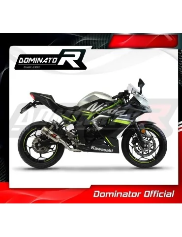 Collecteur d'échappement inox Dominator pour Kawasaki Ninja 125 / Z125 (2019-2023)