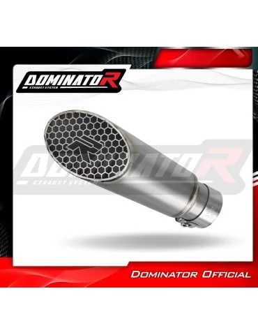 Silencieux slip-on Dominator GP3 Titane pour BMW M1000R (2022-2026)