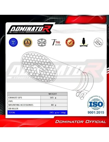 Silencieux mégaphone Dominator GP3 Titane pour BMW M1000RR (2020-2024)