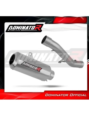 Silencieux slip-on Dominator GP pour Honda CBR 600 F4i (2001-2006)