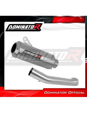 Silencieux slip-on Dominator GP pour Yamaha YZF R1 1000 RN01 (1998-1999)