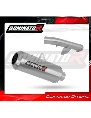 Silencieux slip-on Dominator GP pour Honda CBR 600 F4 (1999-2000)