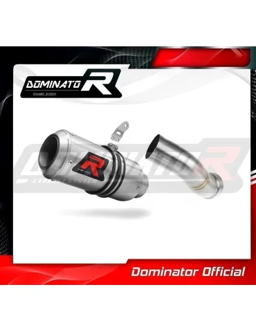 Silencieux slip-on homologué Dominator GP pour Kawasaki Z 900 A2 (2017-2019)