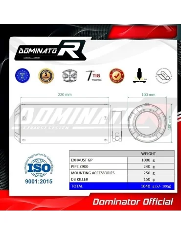 Silencieux slip-on Dominator GP pour Kawasaki Z 900 A2 (2020-2024)