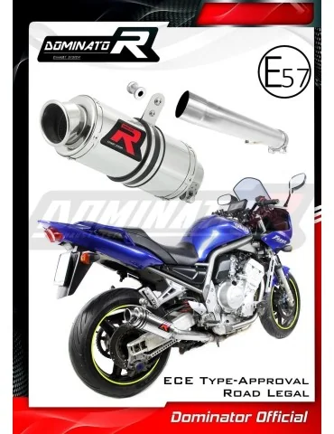 Silencieux slip-on homologué Dominator GP1 pour Yamaha FZS Fazer 1000 (2001-2005)