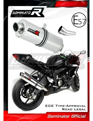 Silencieux slip-on homologué Dominator OV pour Kawasaki ZX6R 636 (2009-2020)