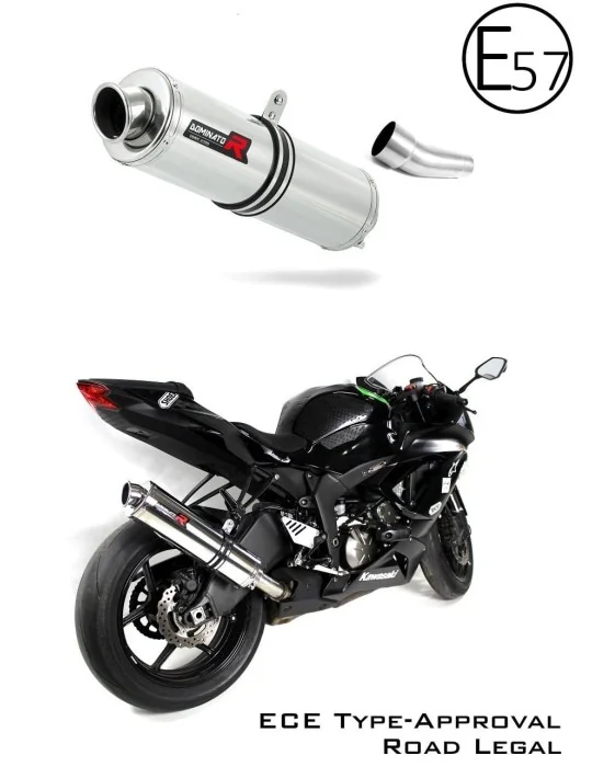 Silencieux slip-on homologué Dominator ST pour Kawasaki ZX6R 636 (2009-2020)