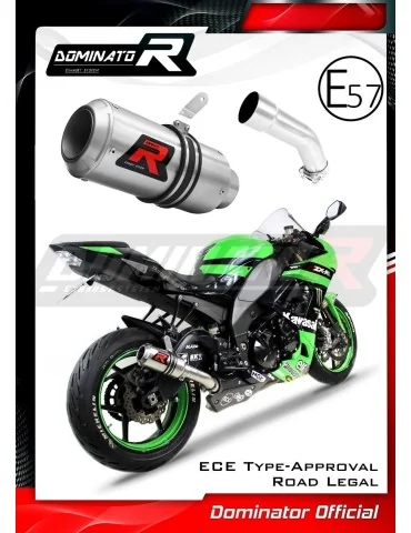 Silencieux slip-on homologué Dominator GP pour Kawasaki ZX10R (2008-2010)